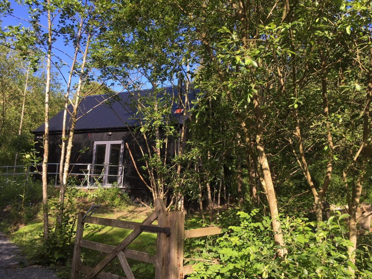Alder Cabin Kilkenny Exterior foto