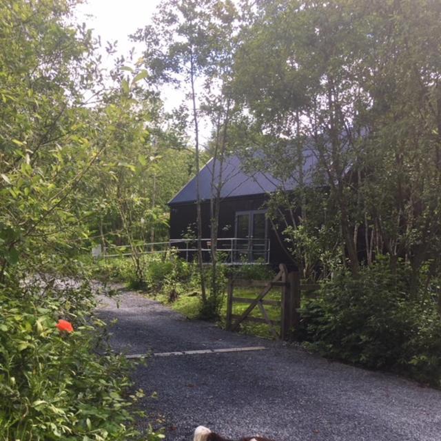 Alder Cabin Kilkenny Exterior foto